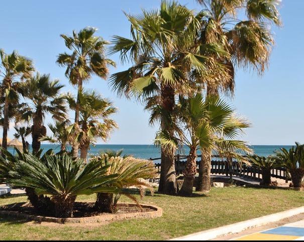 דירות טורמולינוס Perla Del Sol 1 L מראה חיצוני תמונה